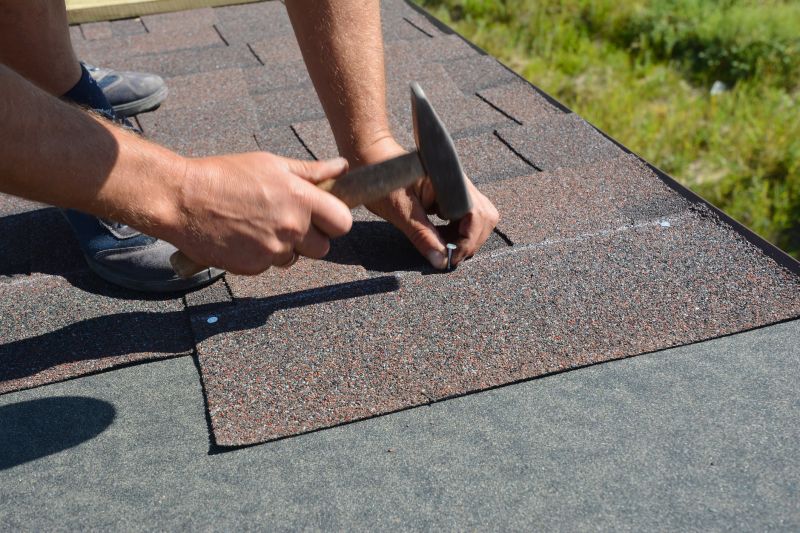 Roof and Siding Maintenance